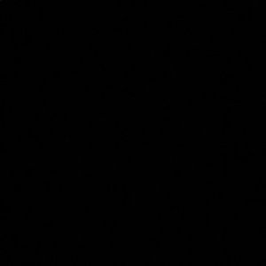 Meet your Posher, Maxine